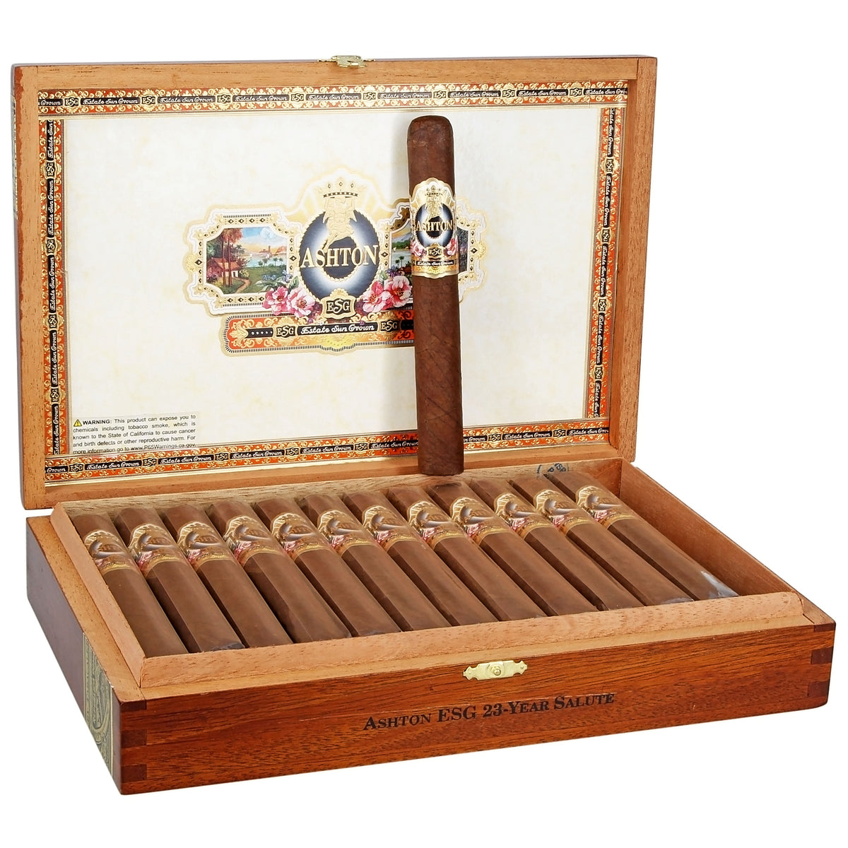 Ashton ESG 23 Year Salute — Sun of a Gun Cigars, Yuma Arizona