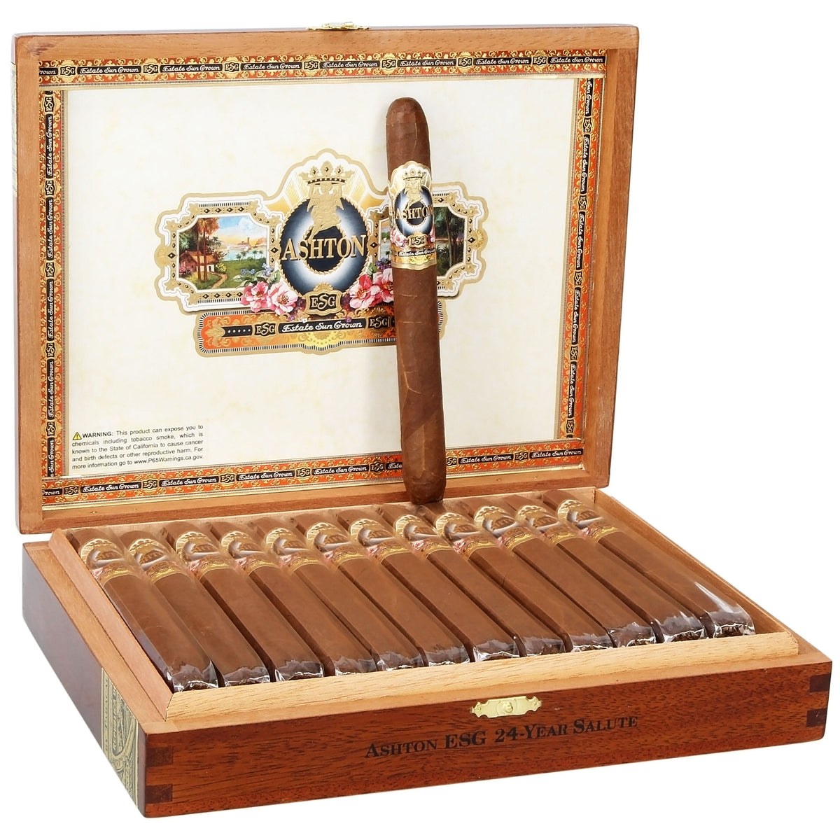 Ashton ESG 24 Year Salute — Sun of a Gun Cigars & Spirits, Yuma Arizona
