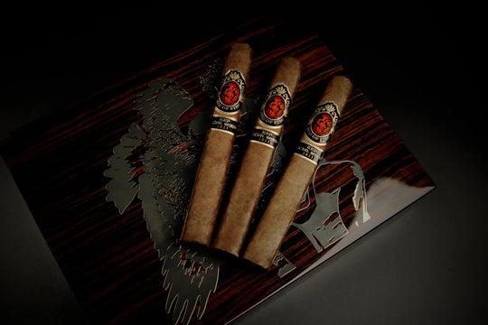 God of Fire KKP Special Reserve Toro Extra 54 cigar
