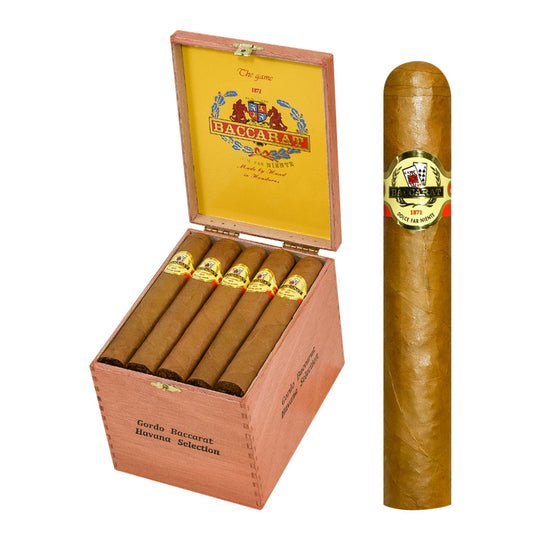 Baccarat Gordo — Sun of a Gun Cigars, Yuma Arizona