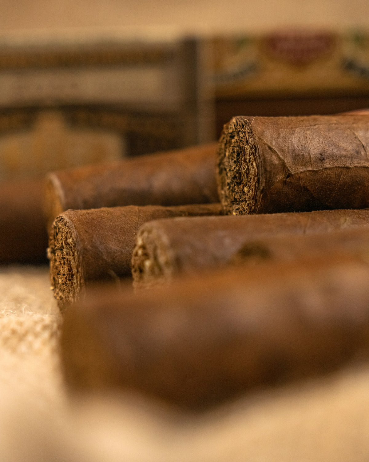 The American cigars