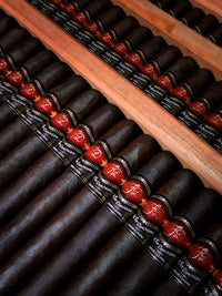 La Flor Dominicana Double Ligero 660 Habano Maduro