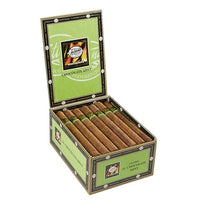 Tatiana Chocolate Mint Corona